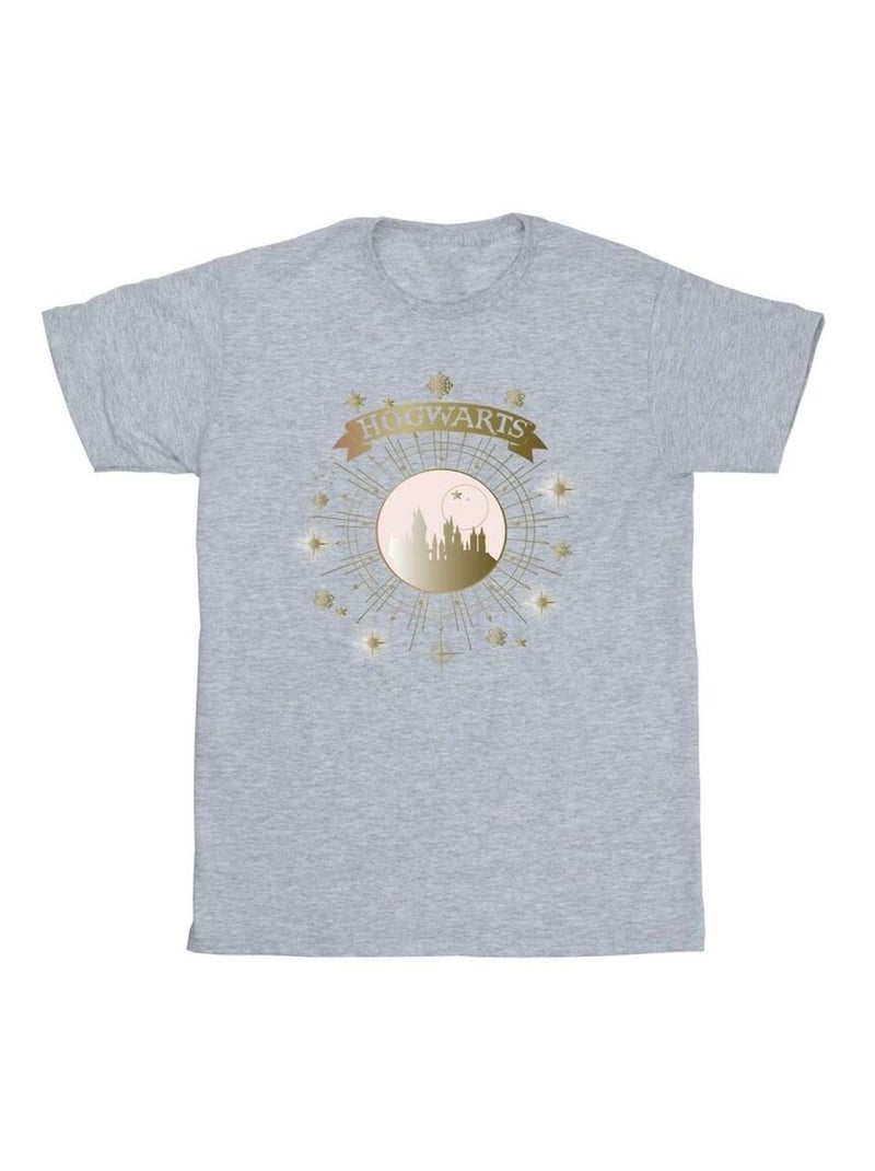 Harry Potter - T-shirt HOGWARTS Gris chiné - Kiabi