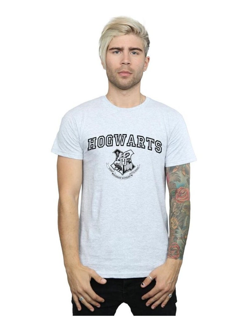 Harry Potter - T-shirt HOGWARTS Gris chiné - Kiabi