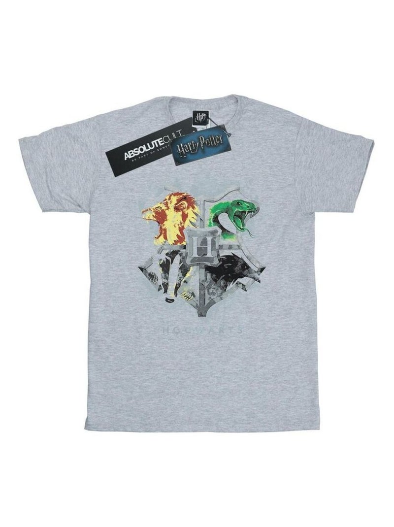 Harry Potter - T-shirt HOGWARTS Gris chiné - Kiabi