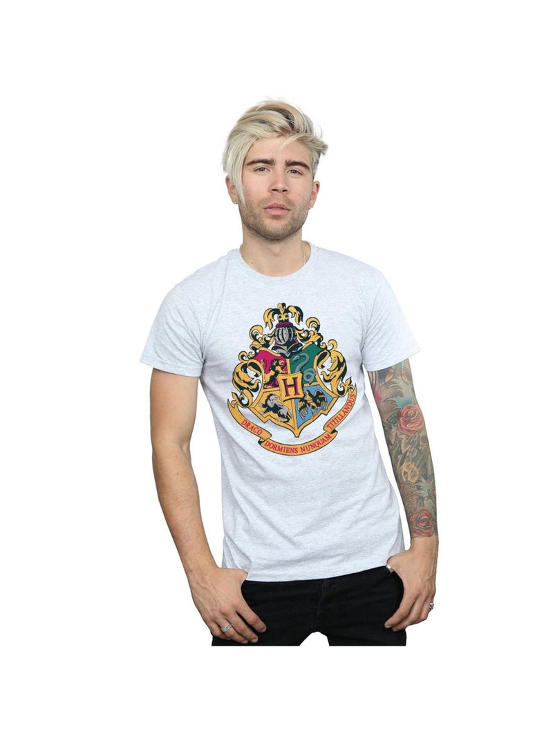 Harry Potter - T-shirt HOGWARTS Gris chiné - Kiabi