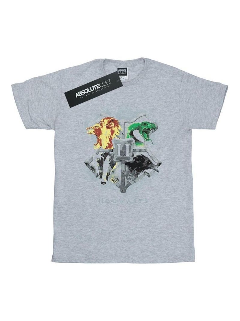 Harry Potter - T-shirt HOGWARTS Gris chiné - Kiabi