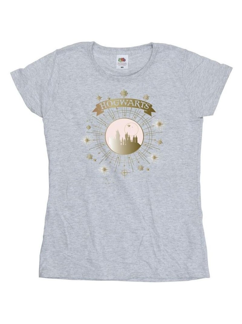 Harry Potter - T-shirt HOGWARTS Gris chiné - Kiabi