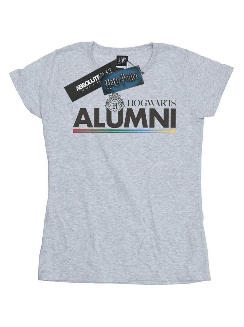 Harry Potter - T-shirt HOGWARTS Gris chiné - Kiabi