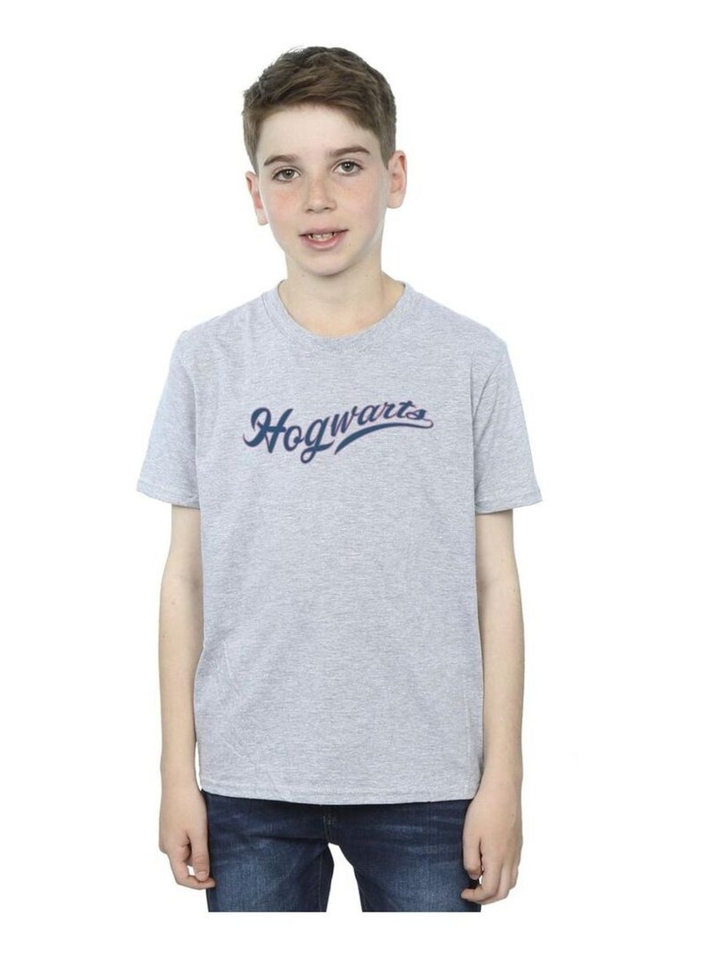 Harry Potter - T-shirt HOGWARTS Gris chiné - Kiabi