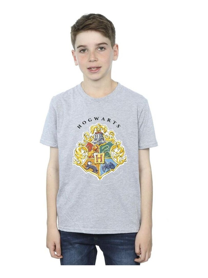 Harry Potter - T-shirt HOGWARTS Gris chiné - Kiabi
