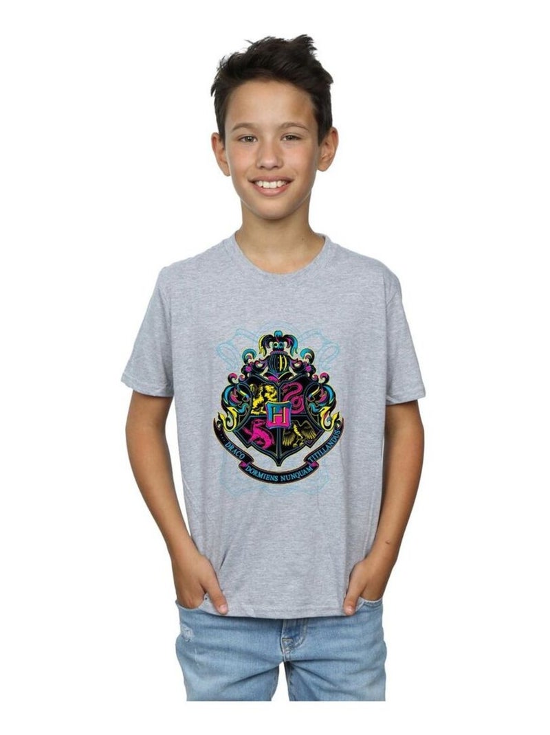 Harry Potter - T-shirt HOGWARTS Gris chiné - Kiabi