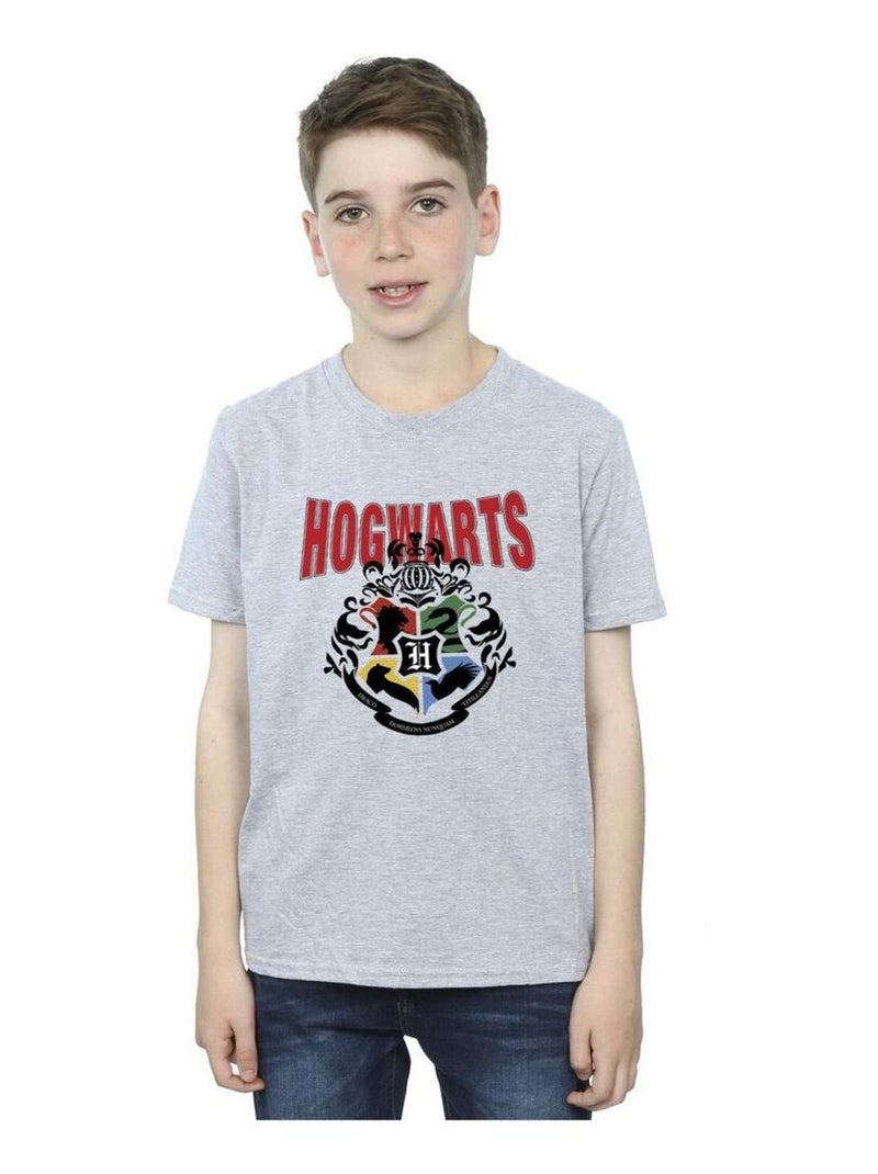 Harry Potter - T-shirt HOGWARTS Gris chiné - Kiabi