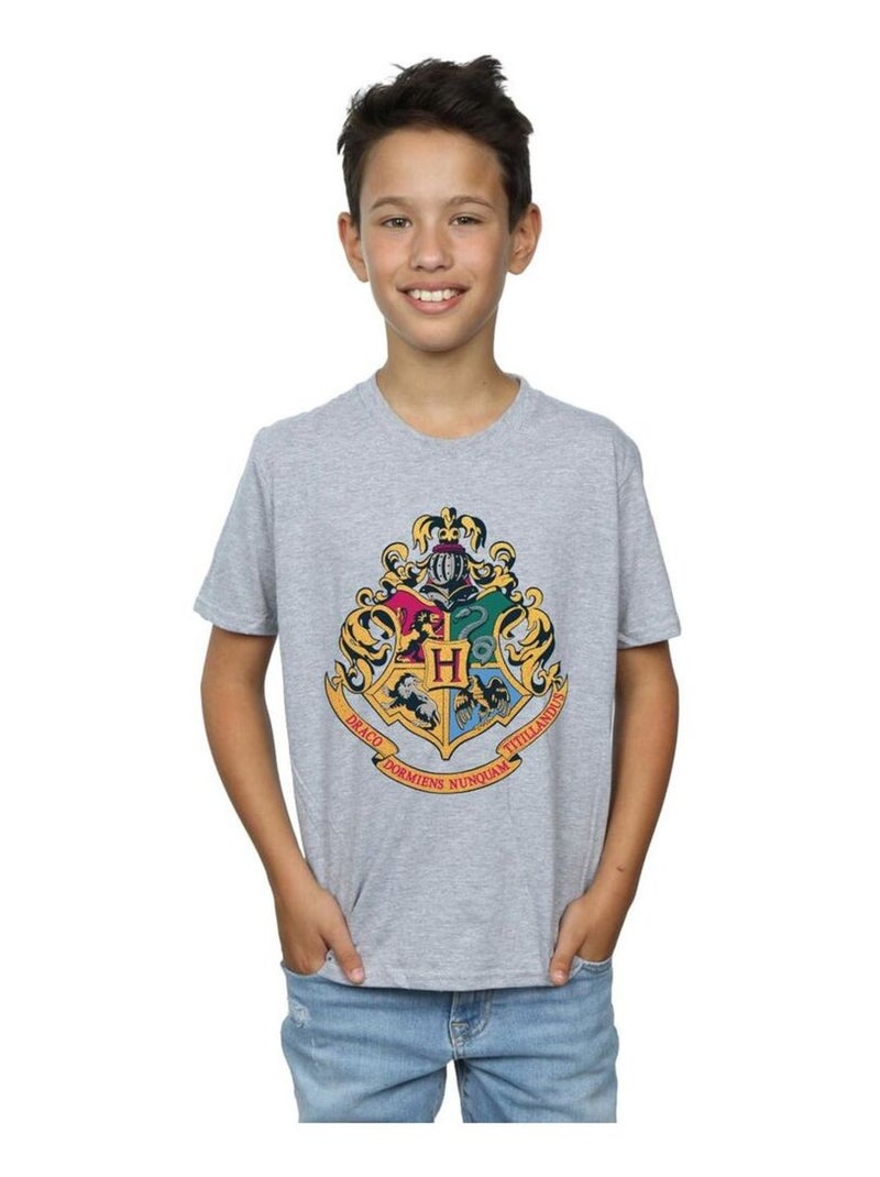 Harry Potter - T-shirt HOGWARTS Gris chiné - Kiabi