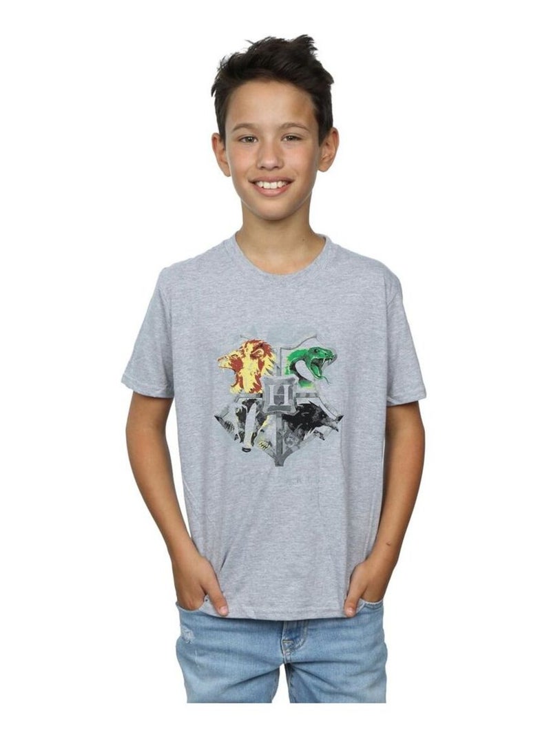 Harry Potter - T-shirt HOGWARTS Gris chiné - Kiabi