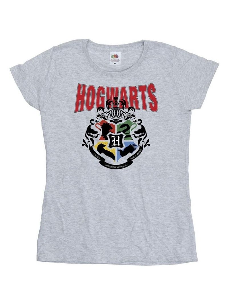 Harry Potter - T-shirt HOGWARTS Gris chiné - Kiabi
