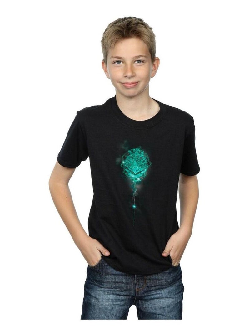 Harry Potter - T-shirt HOGWARTS Noir - Kiabi