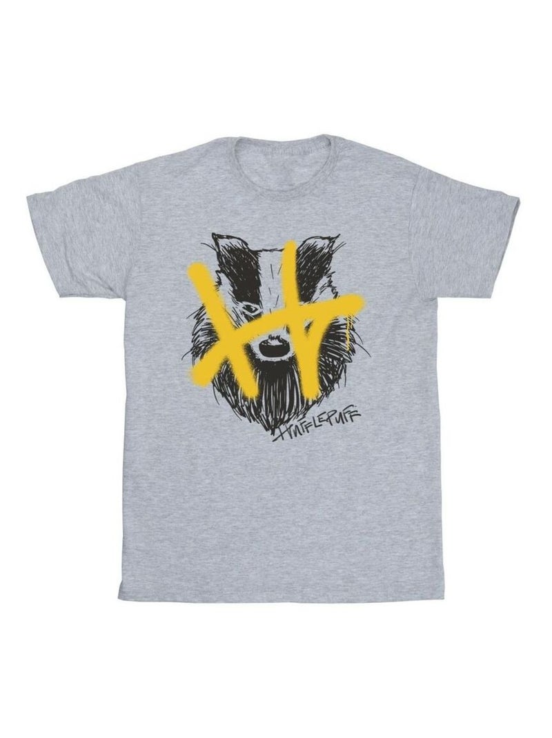 Harry Potter - T-shirt HUFFLEPUFF Gris chiné - Kiabi