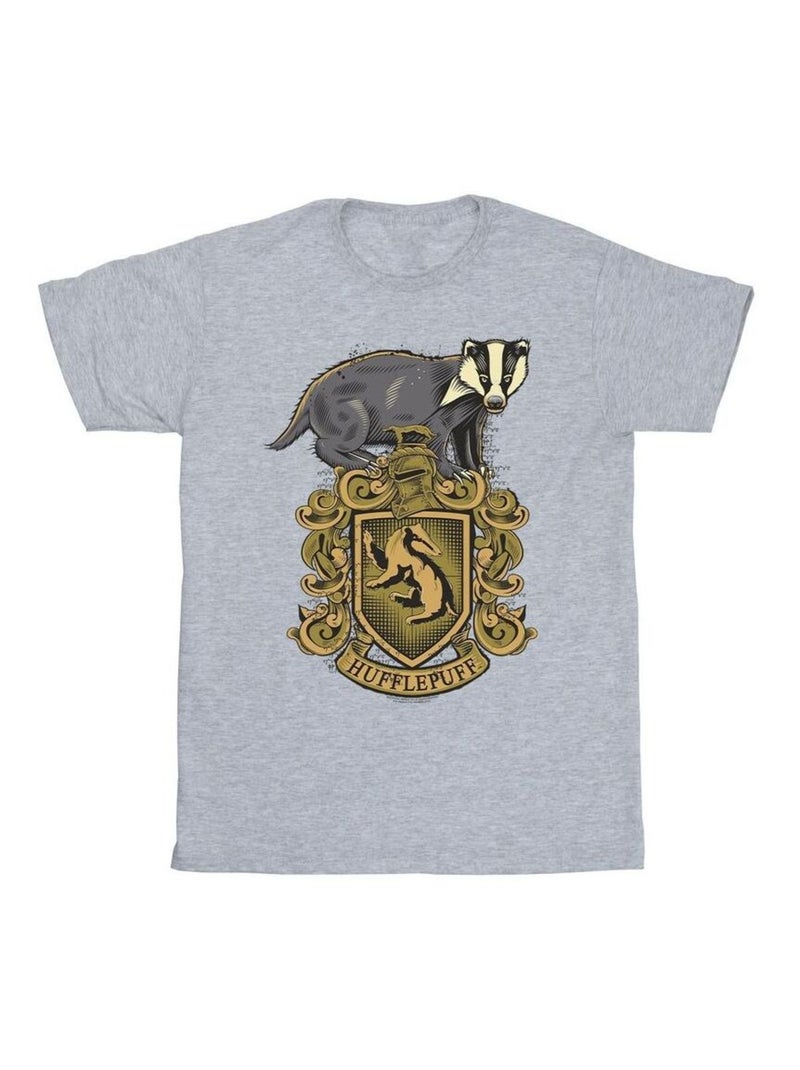 Harry Potter - T-shirt HUFFLEPUFF Gris chiné - Kiabi