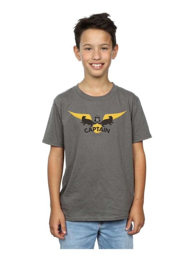 Harry Potter - T-shirt HUFFLEPUFF Gris Noir - Kiabi