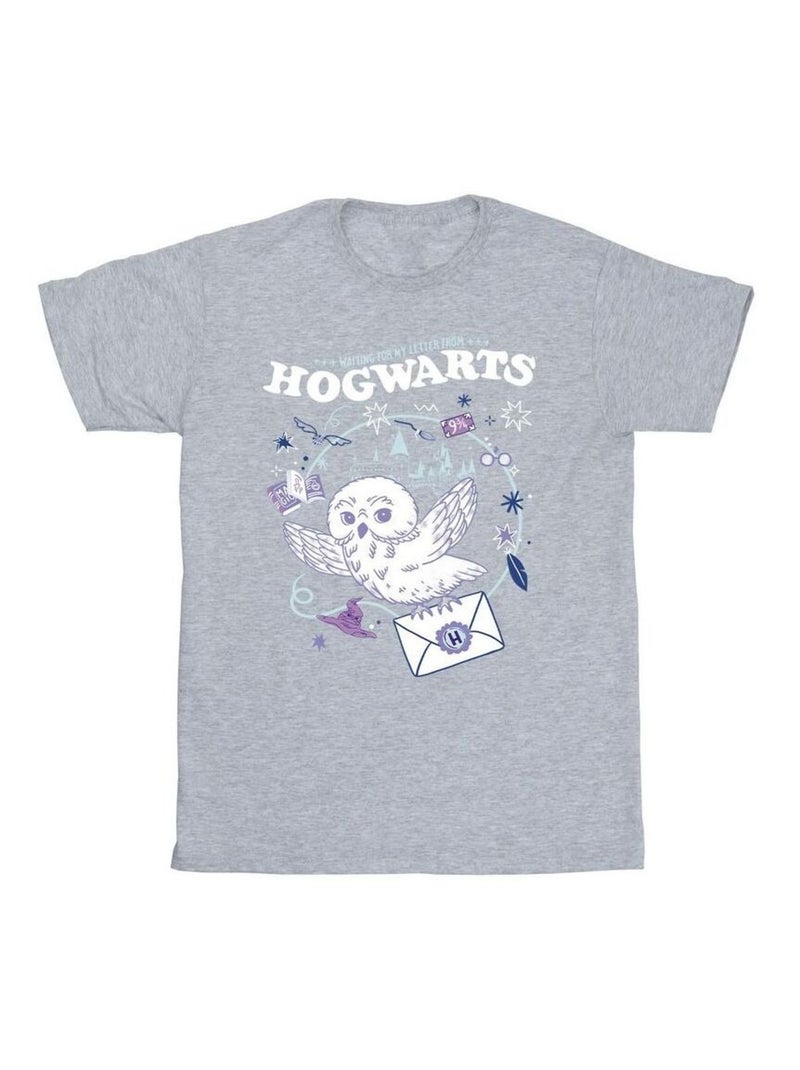 Harry Potter - T-shirt LETTER FROM HOGWARTS Gris chiné - Kiabi