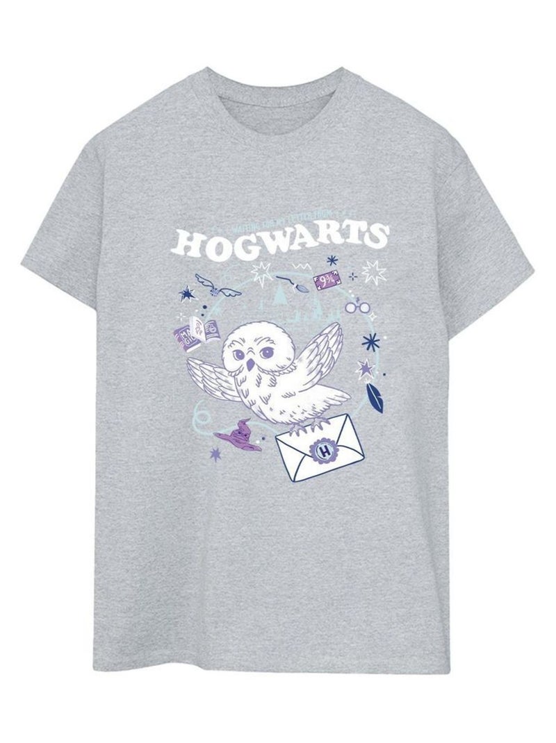 Harry Potter - T-shirt LETTER FROM HOGWARTS Gris chiné - Kiabi