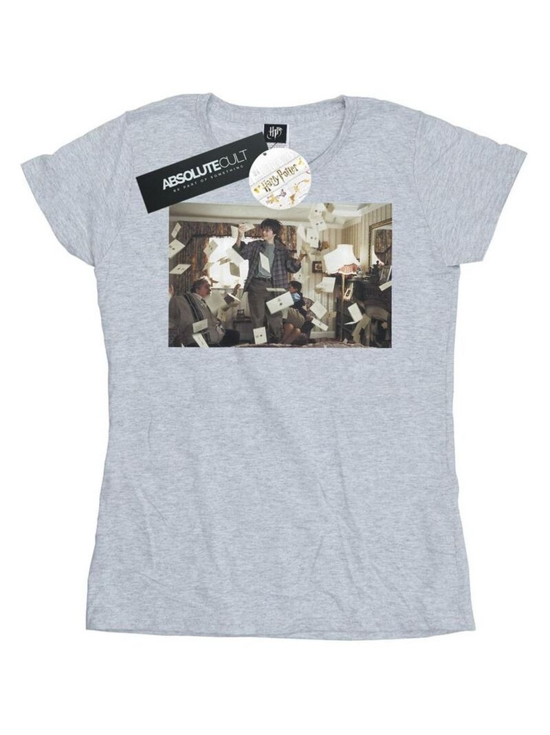 Harry Potter - T-shirt LETTER FROM HOGWARTS Gris chiné - Kiabi