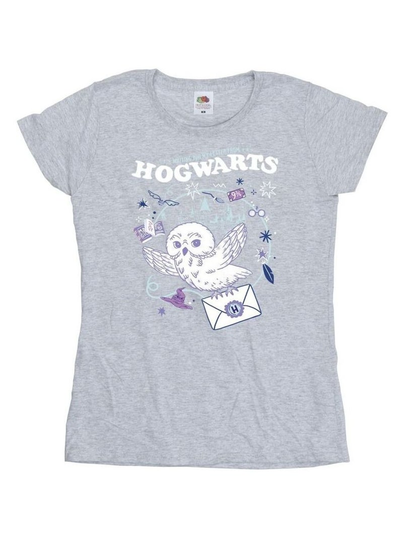 Harry Potter - T-shirt LETTER FROM HOGWARTS Gris chiné - Kiabi