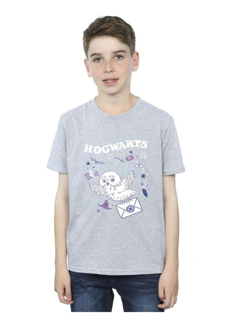 Harry Potter - T-shirt LETTER FROM HOGWARTS Gris chiné - Kiabi