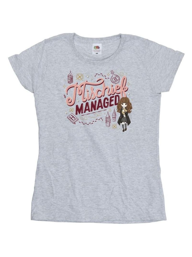 Harry Potter - T-shirt MISCHIEF MANAGED Gris chiné - Kiabi