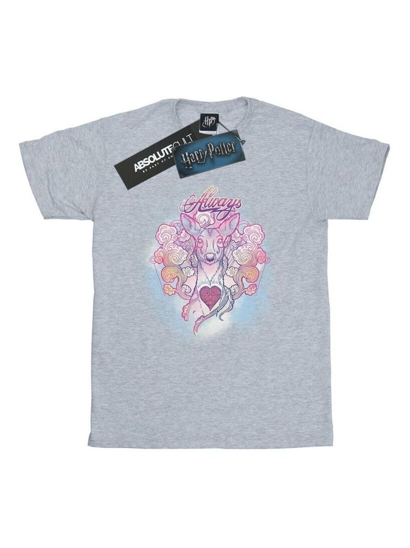 Harry Potter - T-shirt motif/style Biche ALWAYS Gris chiné - Kiabi