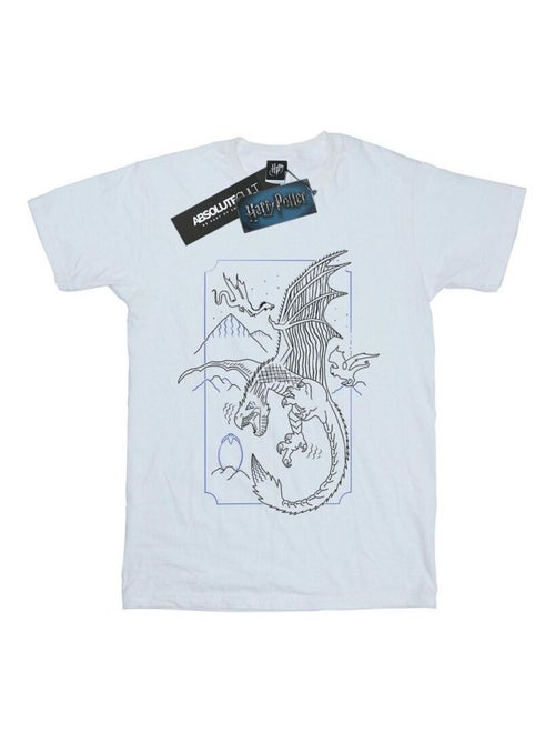 Harry Potter - T-shirt motif/style Dragon - Kiabi Harry Potter - T-shirt motif/style Dragon - Kiabi