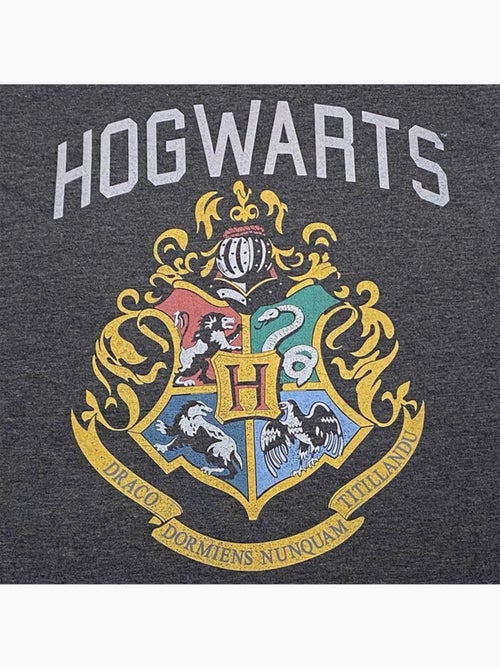Harry Potter - T-shirt motif/style emblèmes des maisons HOGWARTS - Kiabi