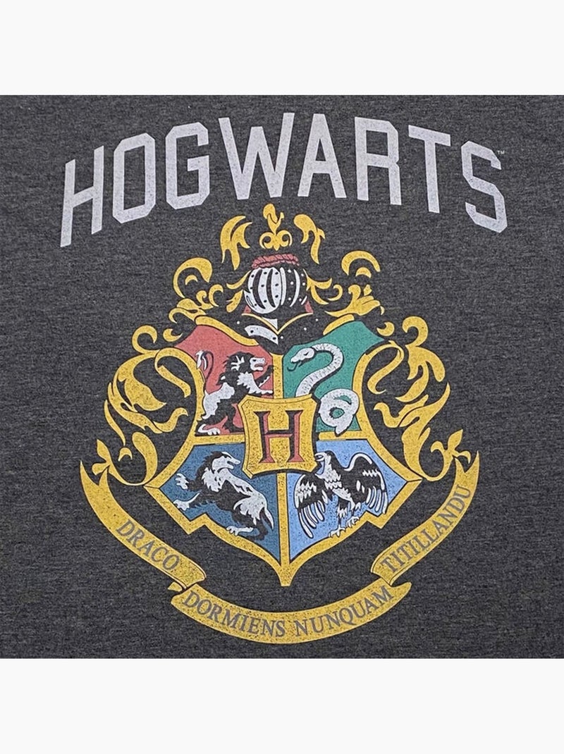 Harry Potter - T-shirt motif/style emblèmes des maisons HOGWARTS Gris Gris anthracite - Kiabi