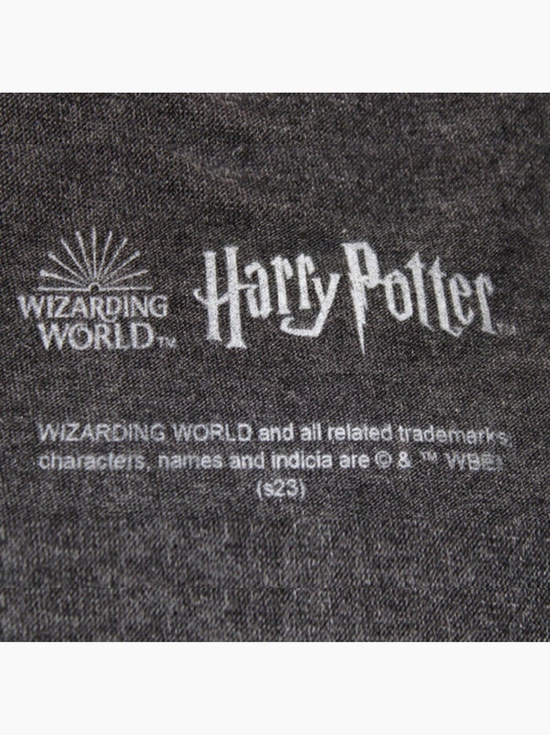 Harry Potter - T-shirt motif/style emblèmes des maisons HOGWARTS Gris Gris anthracite - Kiabi
