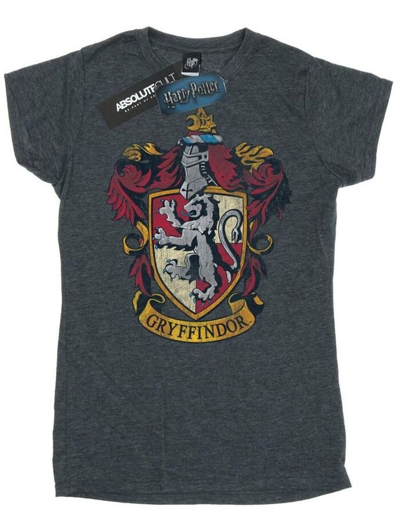 Harry Potter - T-shirt motif/style Gryffondor Gris foncé - Kiabi