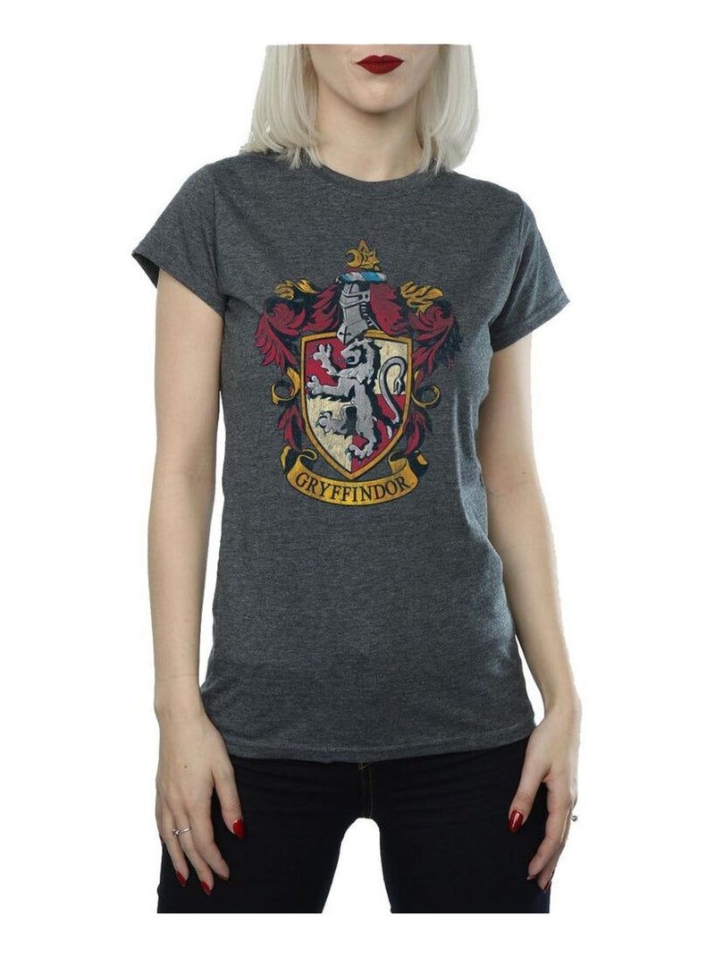 Harry Potter - T-shirt motif/style Gryffondor Gris foncé - Kiabi