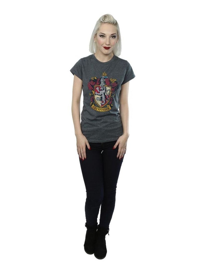 Harry Potter - T-shirt motif/style Gryffondor Gris foncé - Kiabi