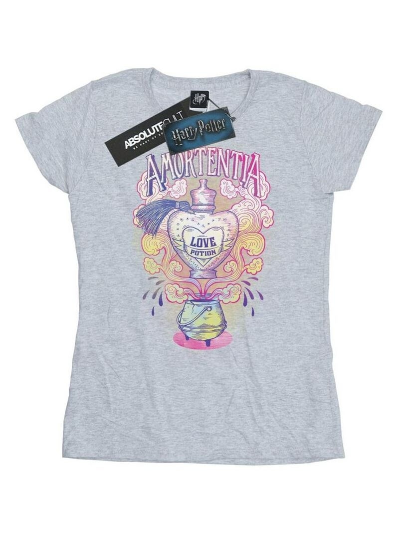 Harry Potter - T-shirt motif/style Love Potion Gris chiné - Kiabi