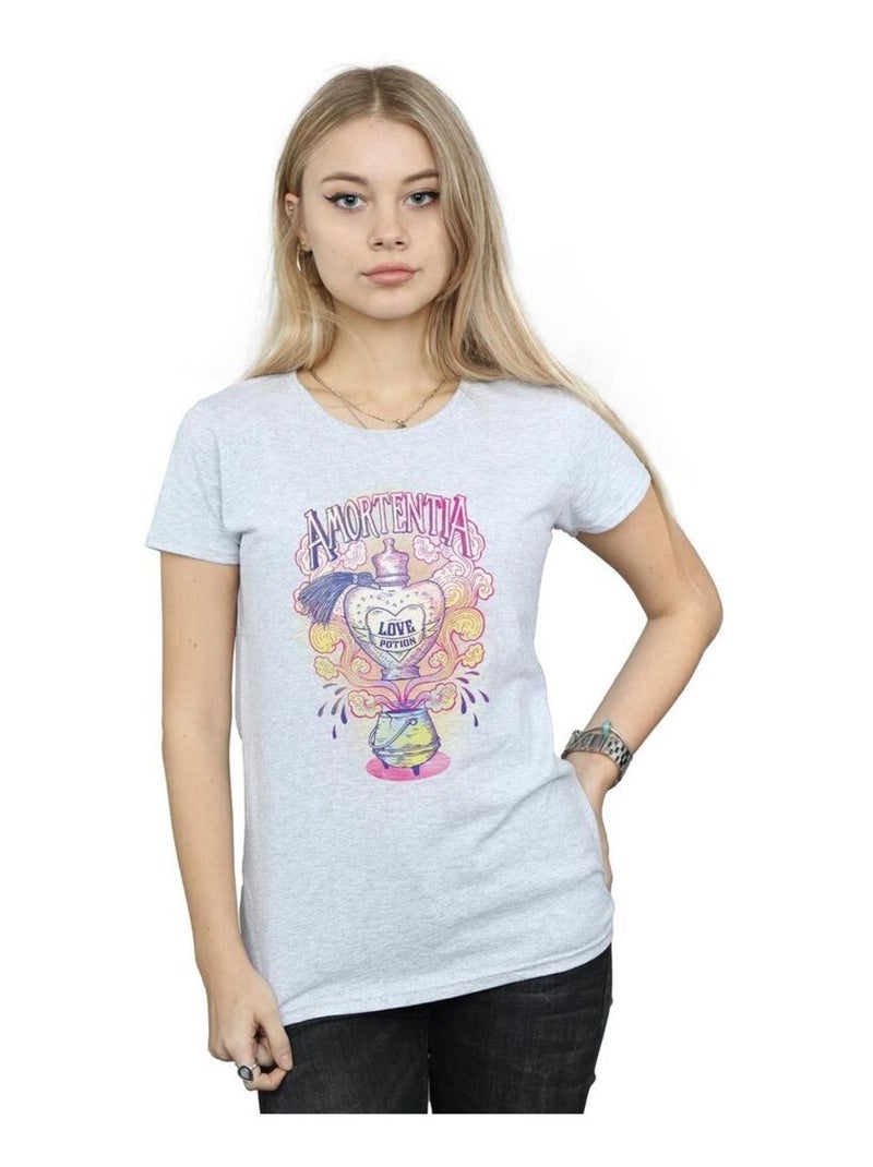 Harry Potter - T-shirt motif/style Love Potion Gris chiné - Kiabi