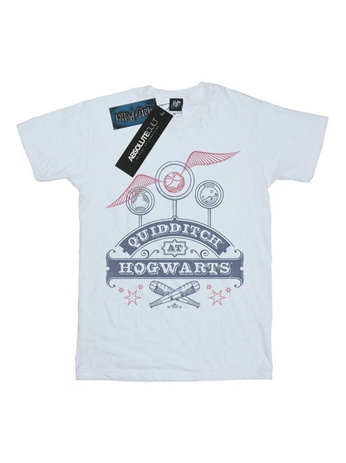 Harry Potter - T-shirt QUIDDITCH AT HOGWARTS - Kiabi Harry Potter - T-shirt QUIDDITCH AT HOGWARTS - Kiabi