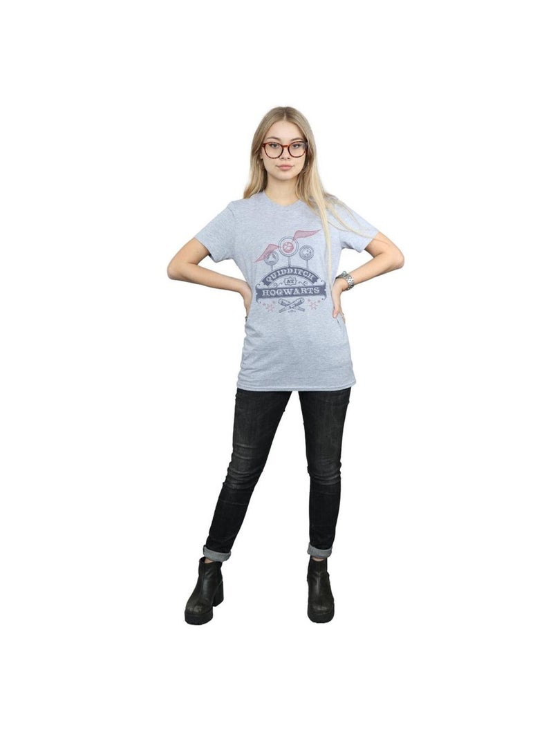 Harry Potter - T-shirt QUIDDITCH AT HOGWARTS Gris chiné - Kiabi