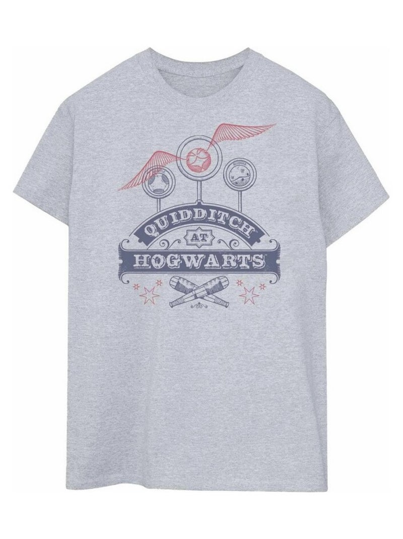 Harry Potter - T-shirt QUIDDITCH AT HOGWARTS Gris chiné - Kiabi