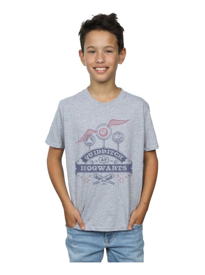 Harry Potter - T-shirt QUIDDITCH AT HOGWARTS Gris chiné - Kiabi
