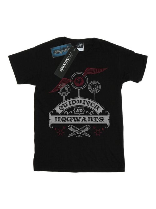 Harry Potter - T-shirt QUIDDITCH AT HOGWARTS - Kiabi Harry Potter - T-shirt QUIDDITCH AT HOGWARTS - Kiabi