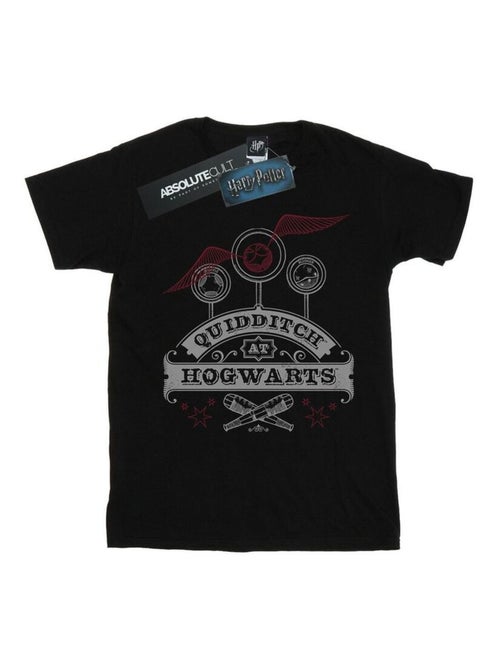 Harry Potter - T-shirt QUIDDITCH AT HOGWARTS - Kiabi