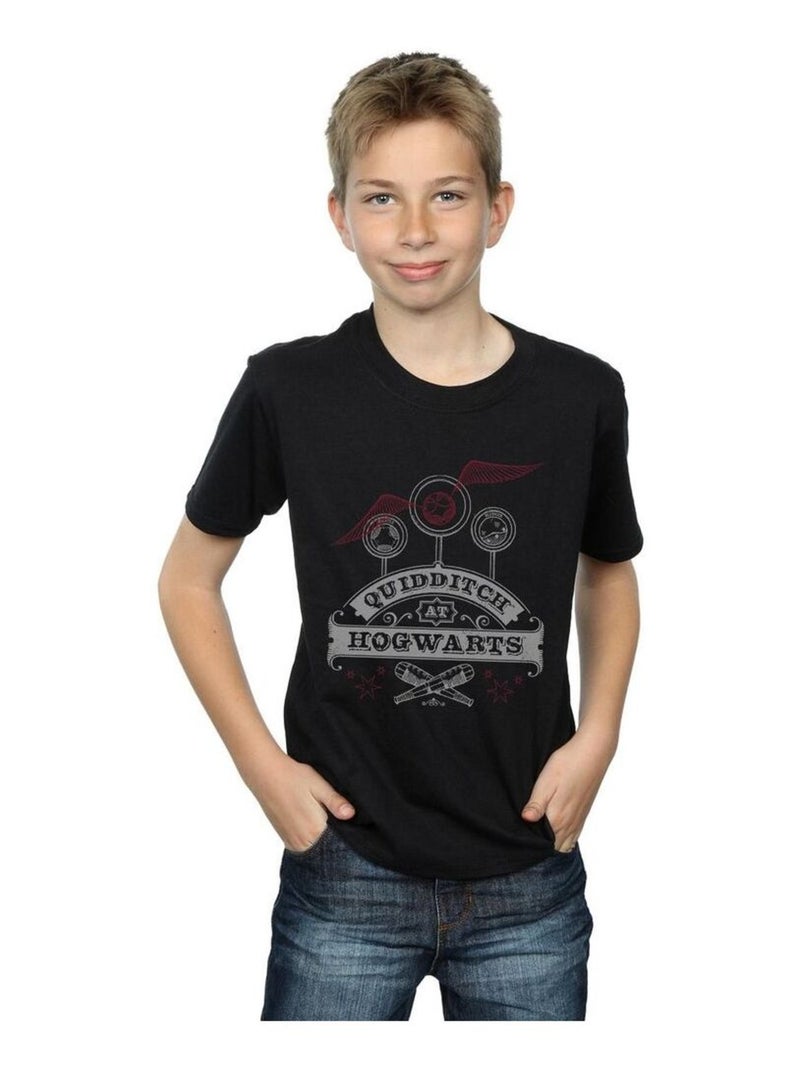 Harry Potter - T-shirt QUIDDITCH AT HOGWARTS Noir - Kiabi