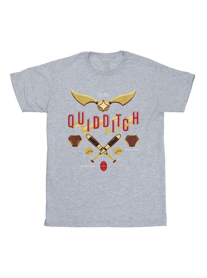 Harry Potter - T-shirt QUIDDITCH GOLDEN SNITCH Gris chiné - Kiabi