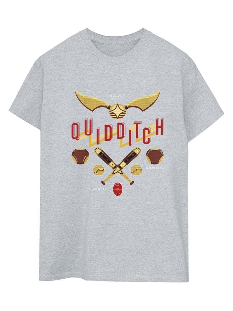 Harry Potter - T-shirt QUIDDITCH GOLDEN SNITCH Gris chiné - Kiabi