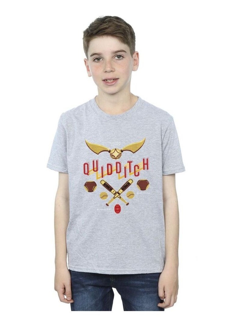 Harry Potter - T-shirt QUIDDITCH GOLDEN SNITCH Gris chiné - Kiabi
