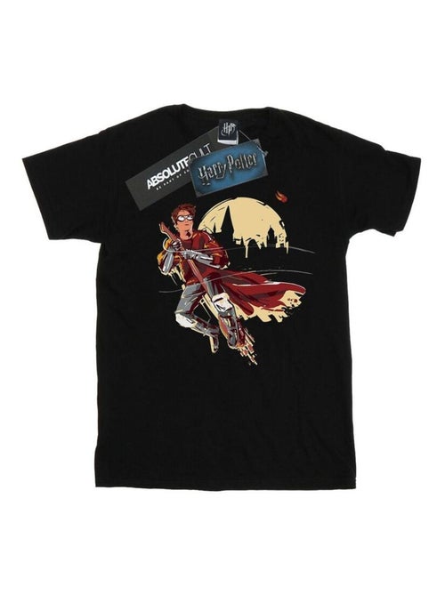 Harry Potter - T-shirt QUIDDITCH SEEKER - Kiabi