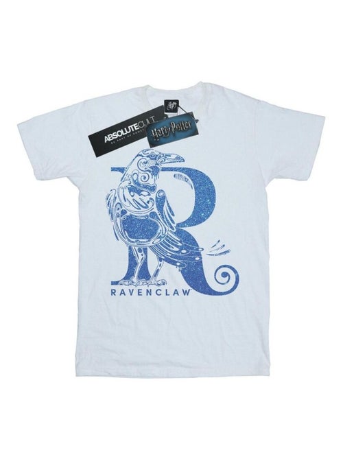 Harry Potter - T-shirt RAVENCLAW - Kiabi Harry Potter - T-shirt RAVENCLAW - Kiabi