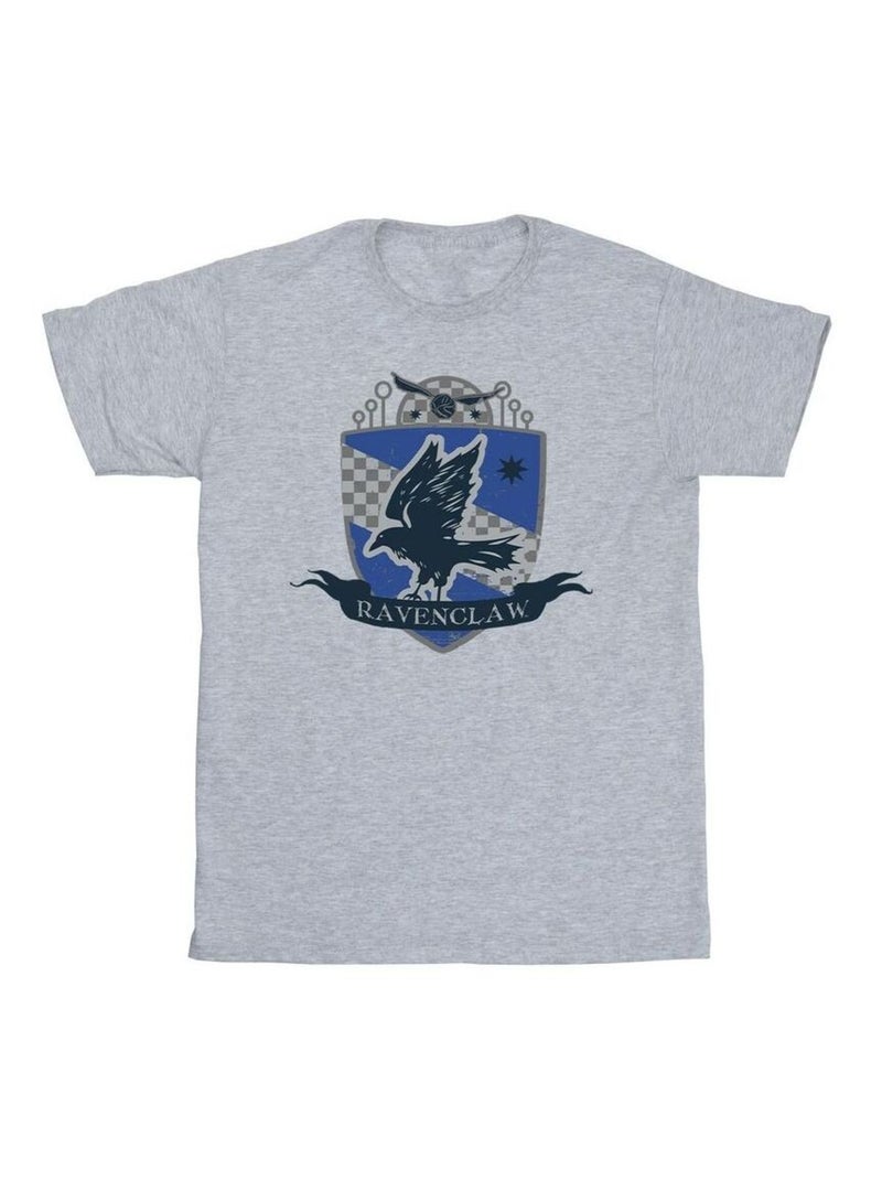 Harry Potter - T-shirt RAVENCLAW Gris chiné - Kiabi