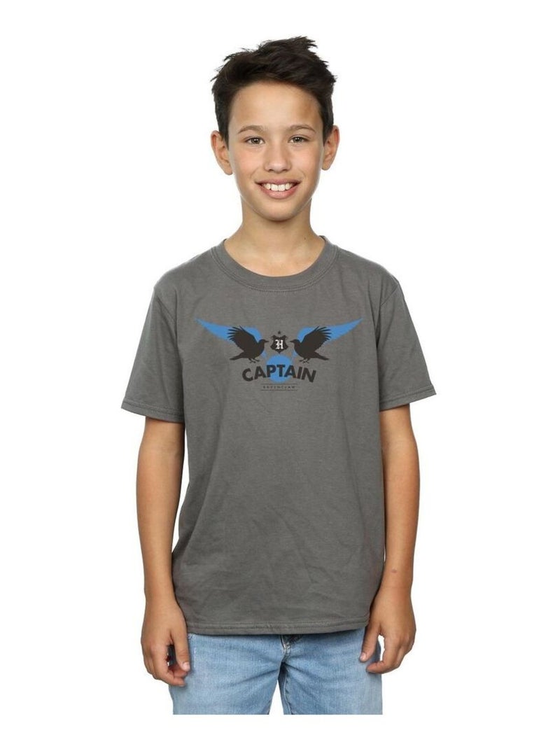 Harry Potter - T-shirt RAVENCLAW Gris Noir - Kiabi