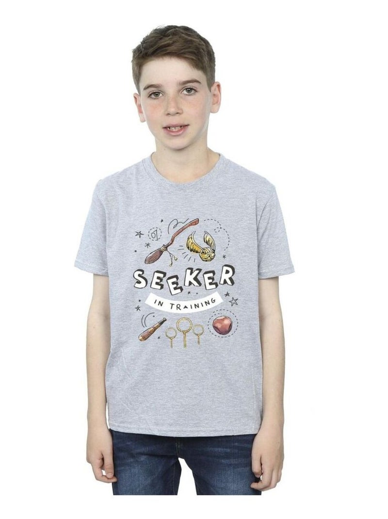 Harry Potter - T-shirt SEEKER IN TRAINING Gris chiné - Kiabi
