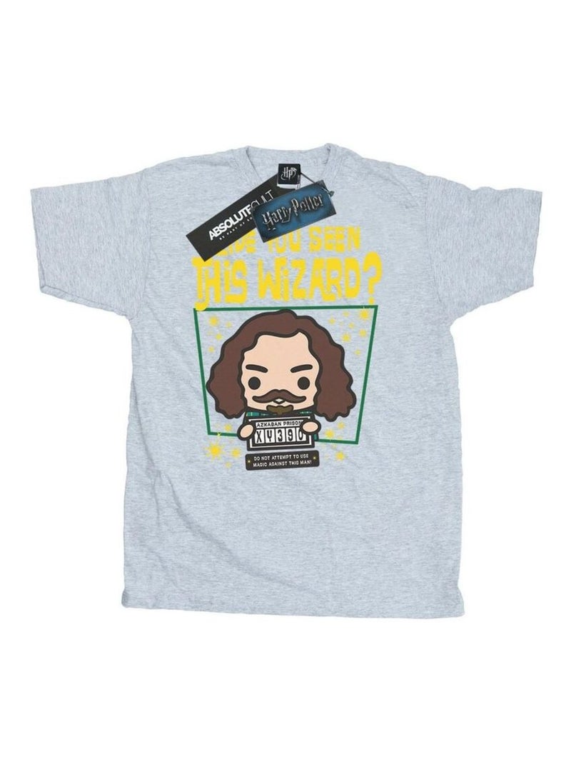 Harry Potter - T-shirt SIRIUS BLACK AZKABAN JUNIOR Gris chiné - Kiabi